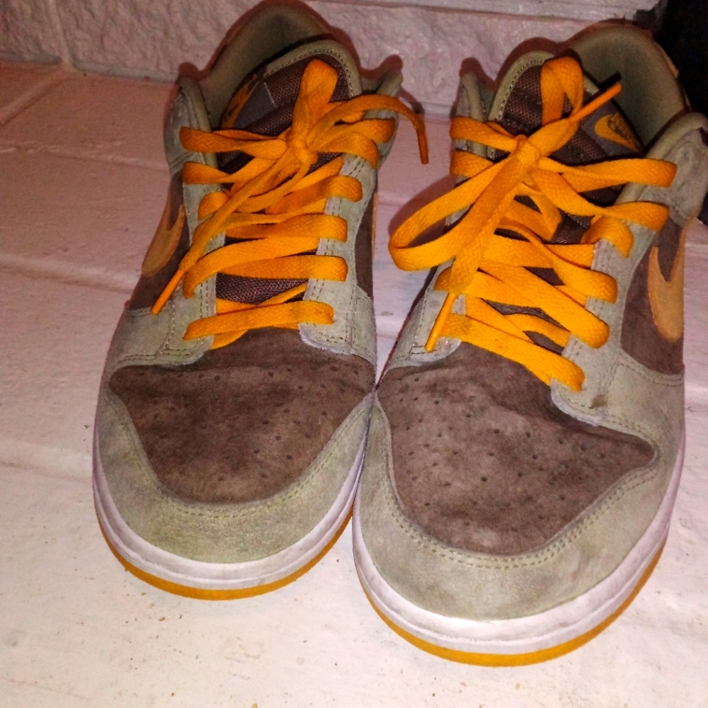 Nike Dunks low top Retro